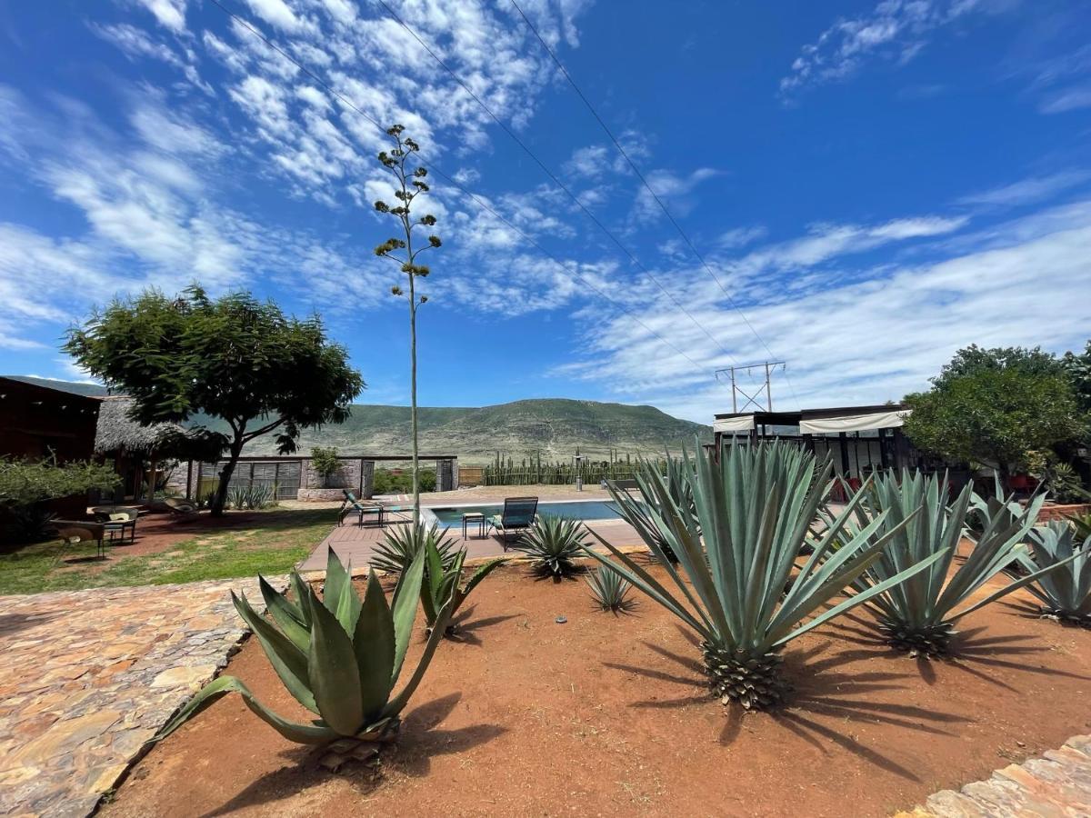 Casa Regina Oaxaca Villa ซาน พาโบล วิลลา เดอะ มิทลา ภายนอก รูปภาพ