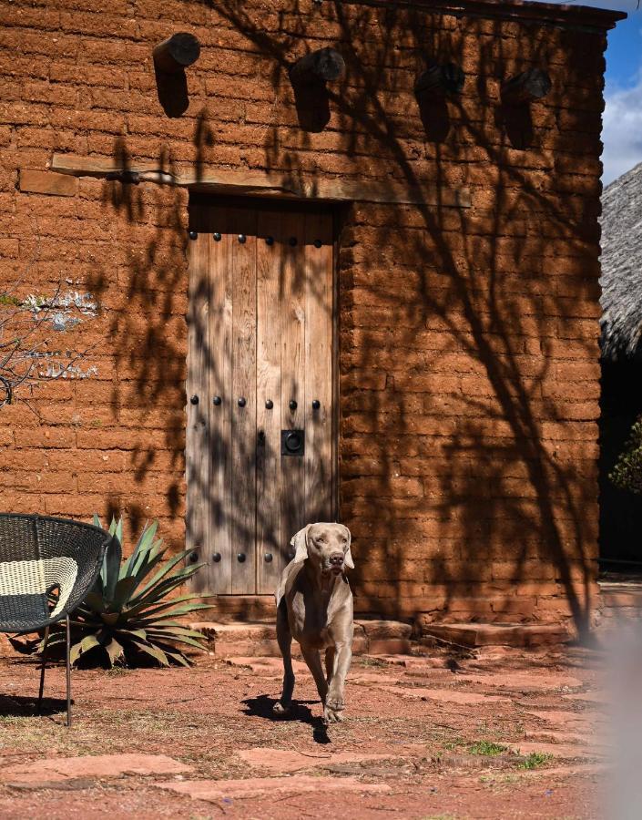 Casa Regina Oaxaca Villa ซาน พาโบล วิลลา เดอะ มิทลา ภายนอก รูปภาพ