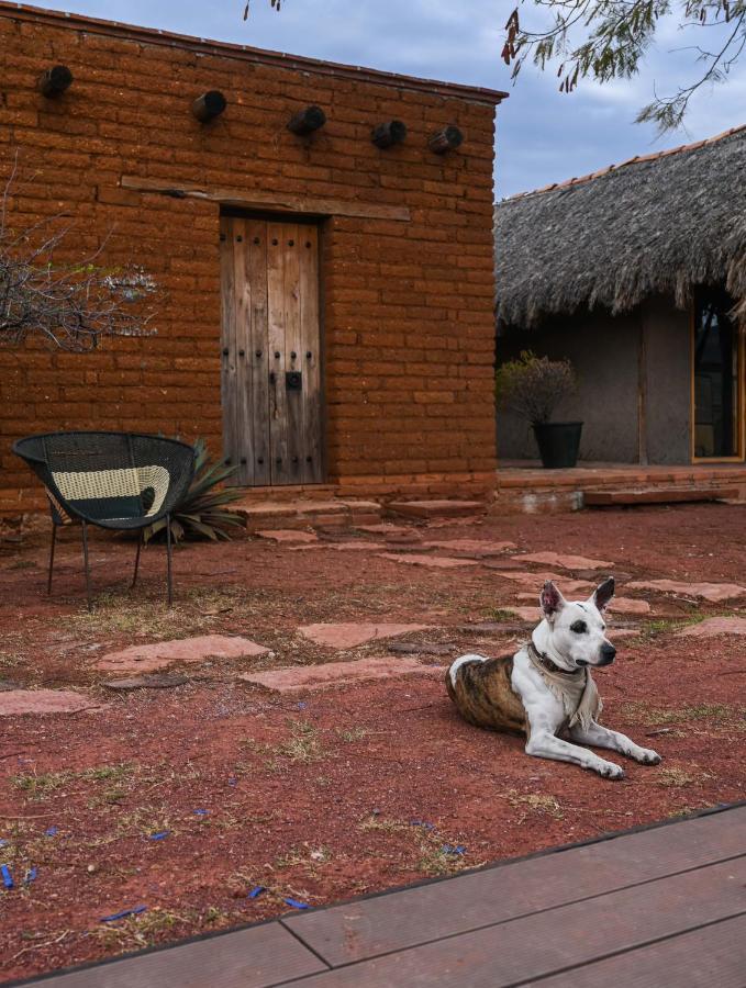Casa Regina Oaxaca Villa ซาน พาโบล วิลลา เดอะ มิทลา ภายนอก รูปภาพ